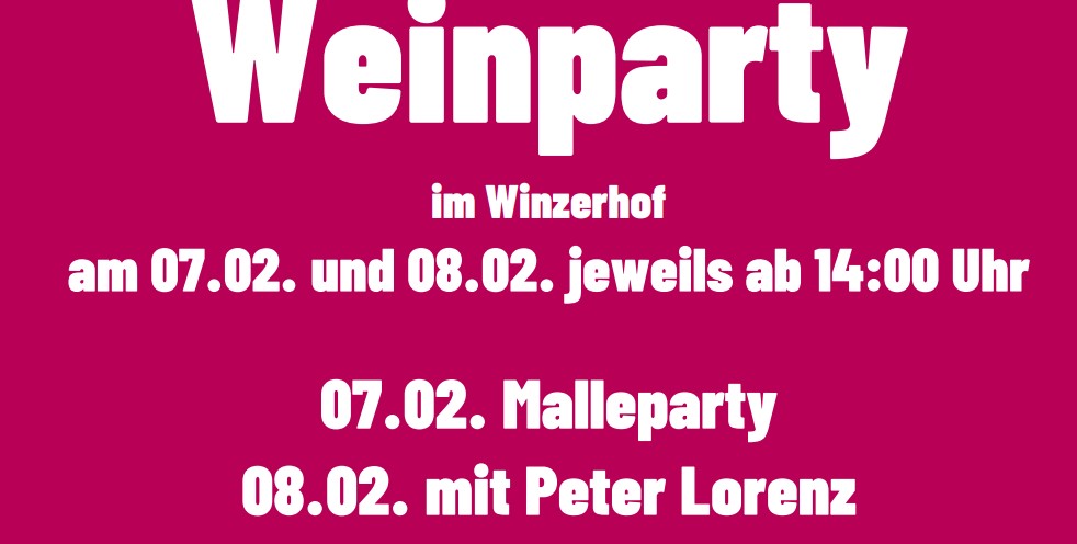 Weinparty im Winzerhof Mechenhard