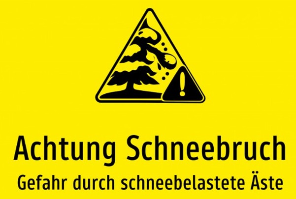 Schneebruch Foto.jpg