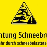 Schneebruch Foto.jpg