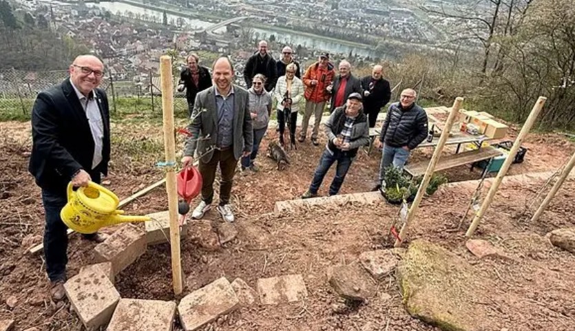Ruheplatz Weinberg Mechenhard.jpg