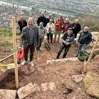 Ruheplatz Weinberg Mechenhard.jpg