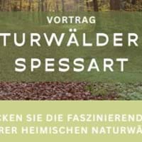 Vortrag  - Naturwälder im Spessart