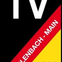 Sommerfest TV Erlenbach