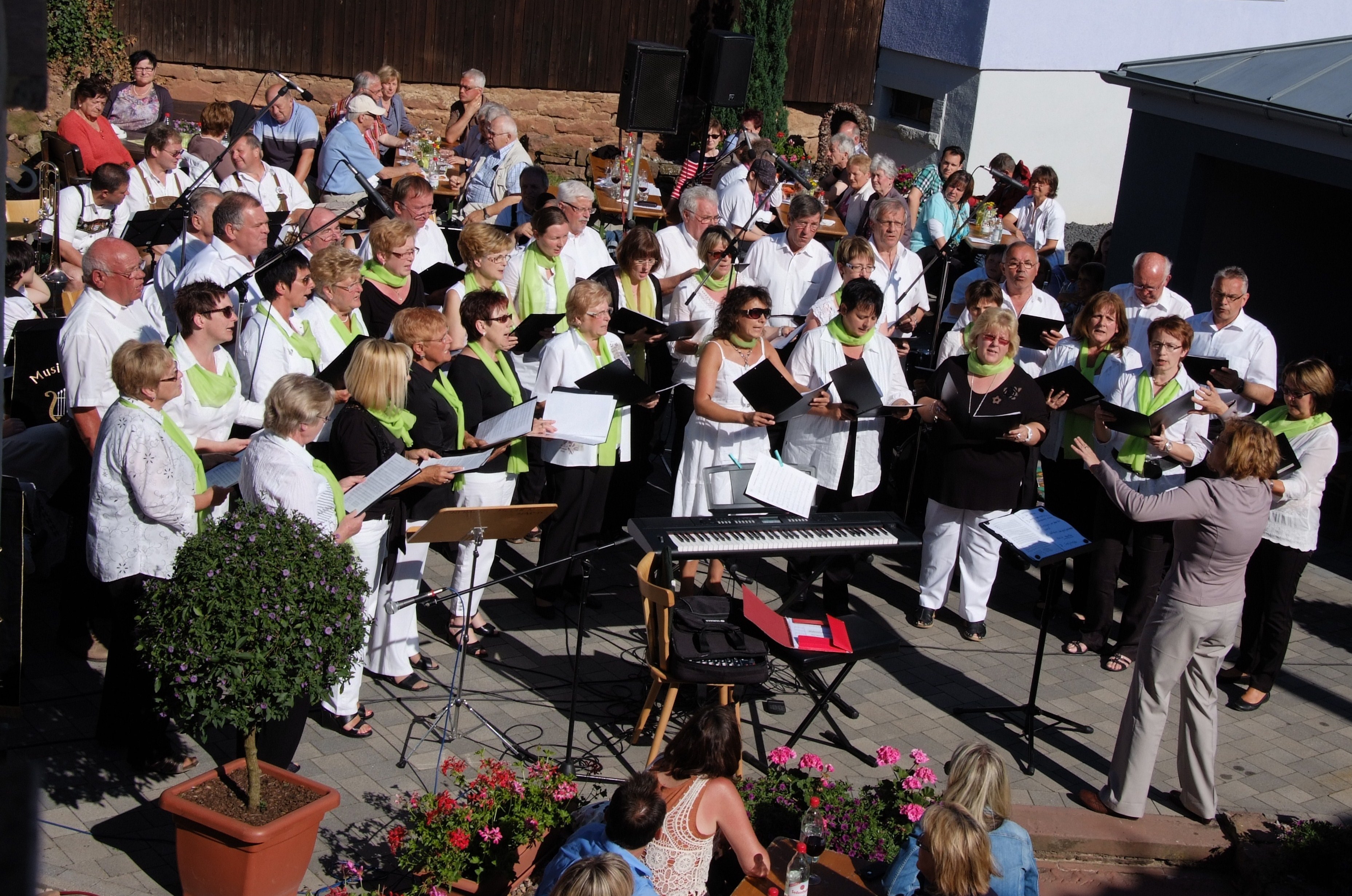 Sommernachtsfest in Mechenhard
