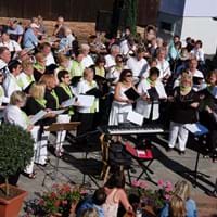 Sommernachtsfest in Mechenhard