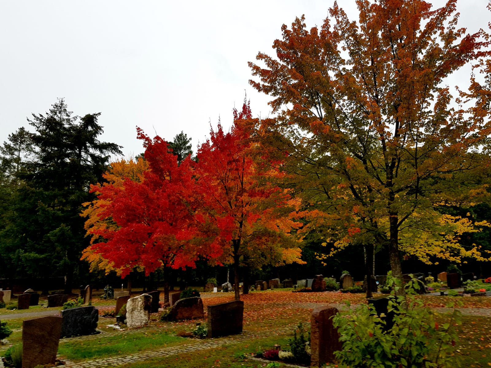 Gräbersegnung in den Friedhöfen