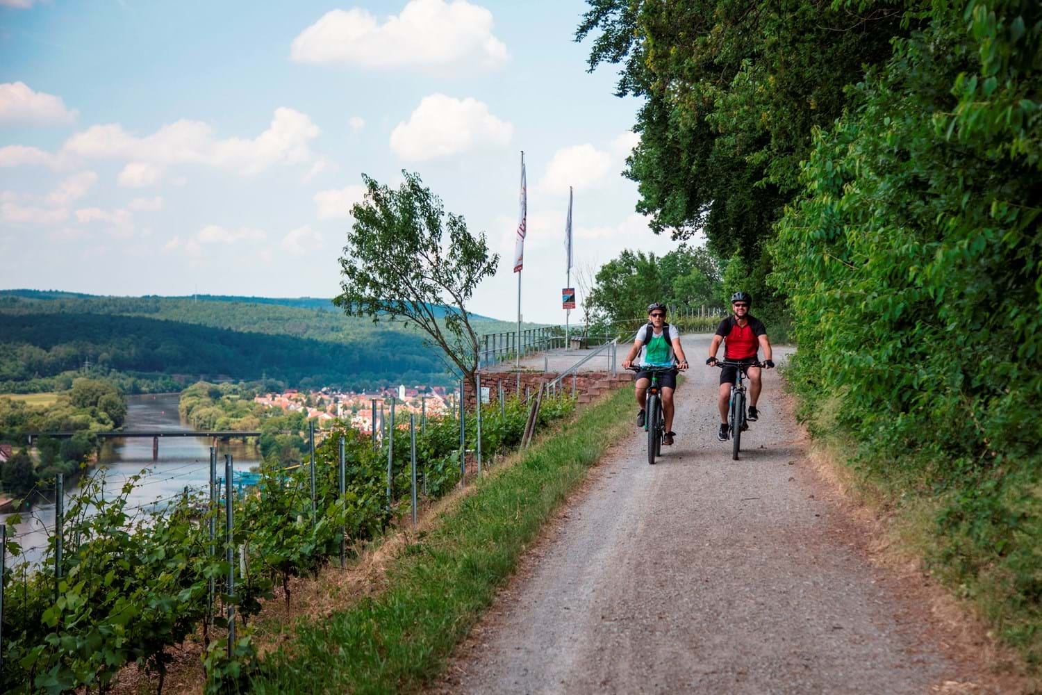 Mit dem Fahrrad unterwegs auf dem Fränkischen Rotwein Wanderweg
