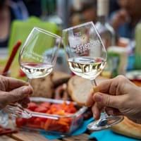Sundowner im Weinberg – WeinTrinken am Terroir F