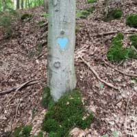 Bewegungsabenteuer in der Natur! Spiel und Spaß bei jedem Wetter (für Familien mit Kindern von 1-3 Jahren)