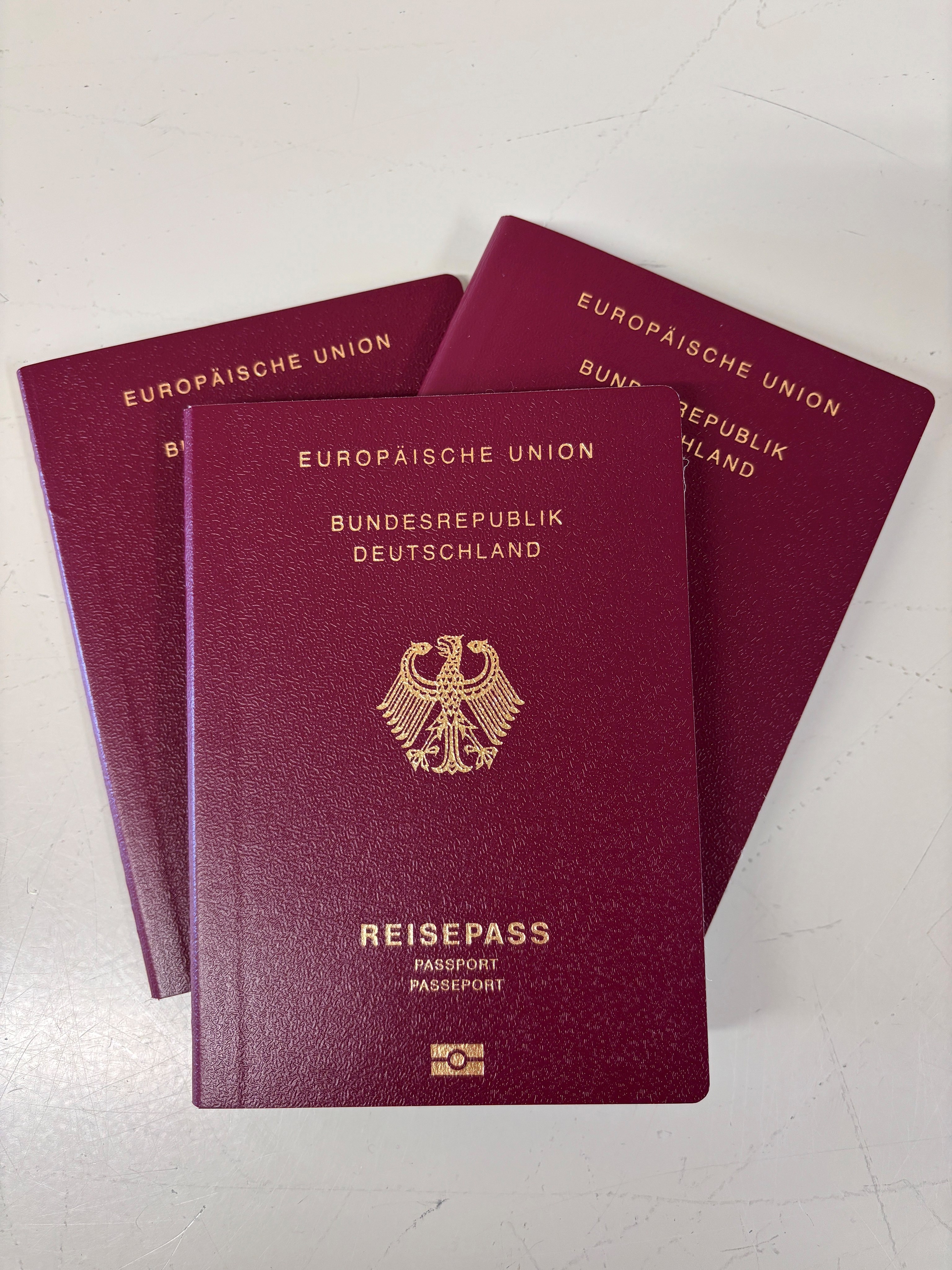 Reisepässe (002).jpg
