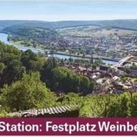 5. Mechenharder Weinwanderung